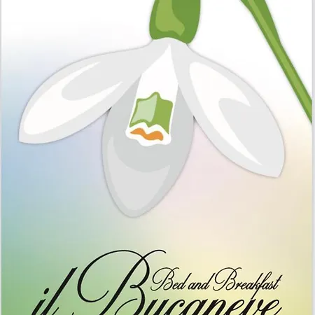 Bed & Breakfast Il Bucaneve 3*