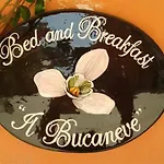 Il Bucaneve