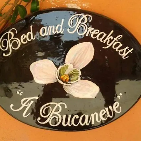 Il Bucaneve